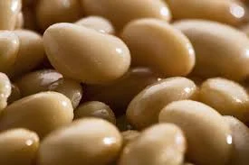 Закупка фасоли для переработки и консервирования- фото № 1