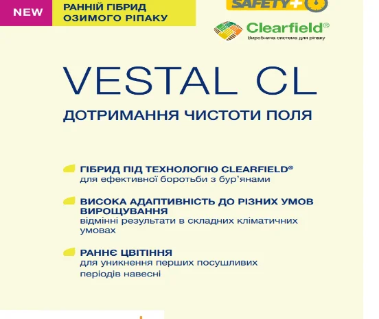Насіння озимого ріпаку VESTAL CL (ВЕСТАЛ КЛ)- фото № 1