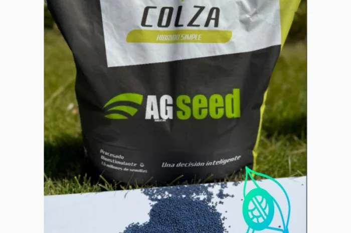 Насіння озимого ріпаку під різні технології обробітку- фото № 1