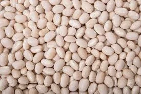 Продать фасоль. Куплю фасоль. Принимаем фасоль на переработку- фото № 1