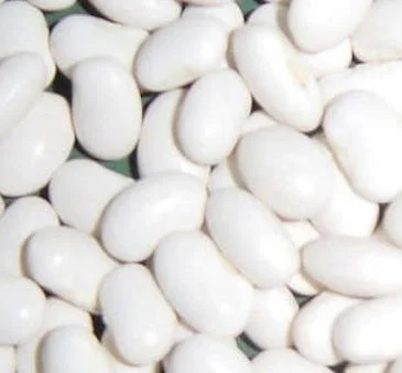 Покупаем белую и цветную фасоль на переработку- фото № 1