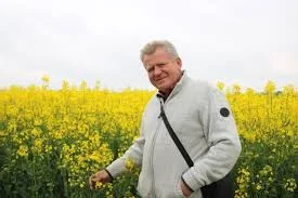 Куплю Ріпак НЕ ГМО-по всій Україні- фото № 1