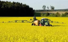 Куплю Рапс ГМО по всій Україні- фото № 1