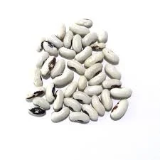 Закуповуємо кольорову та білу квасолю- фото № 1