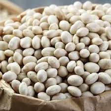 Закупаем фасоль. Минимум 10 тонн- фото № 1