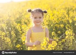 Куплю РІПАК Дорого!1Ф По Україні.Самовивіз- фото № 1