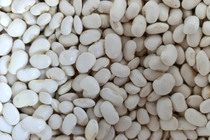 Пропонується квасоля сорту Бандоля- фото № 3