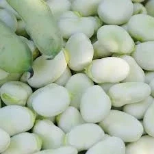 Посівний матеріал квасолі. Насіння квасолі- фото № 1