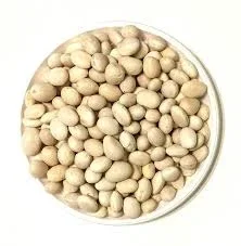 Принимаем фасоль на консервирование. Заберем своим транспортом- фото № 1