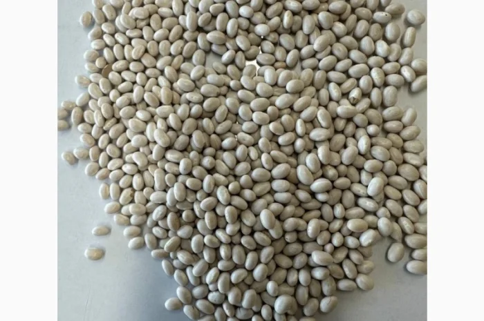 Продам фасоль белую на экспорт.Sale of white beans 99.9%- фото № 1