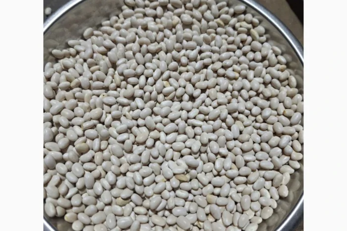 Закуповуємо квасолю по всій Україні- фото № 1