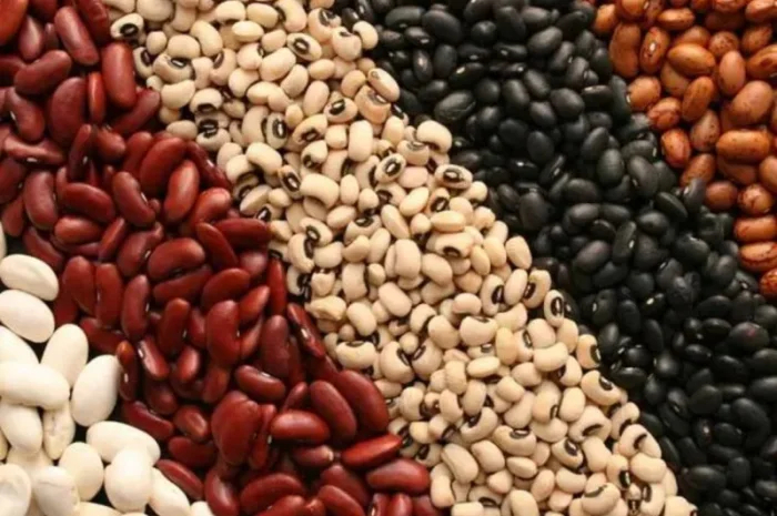 Продам квасолю різних сортів- фото № 1