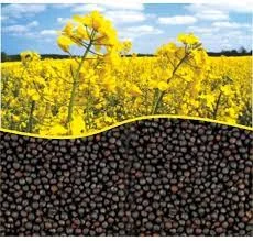 Куплю рипак с доставкой в Черновцы- фото № 1