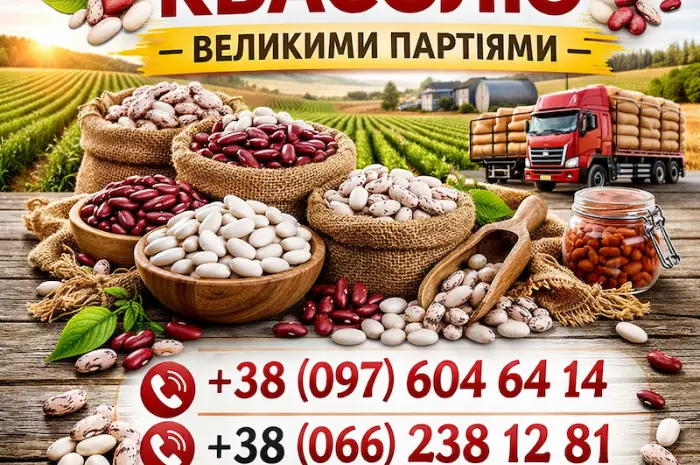Куплю квасолю великий- фото № 1