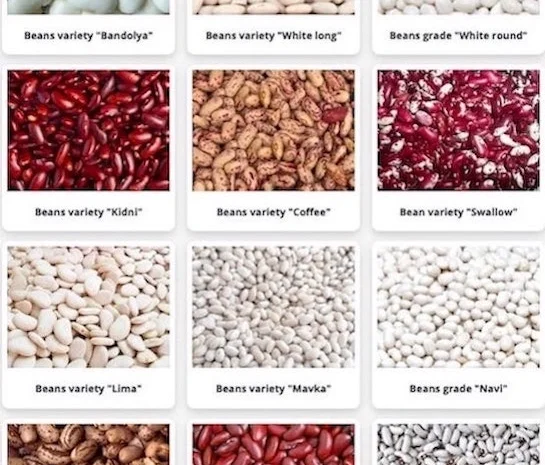 Сортовая фасоль оптом. Доставка по Украине- фото № 1