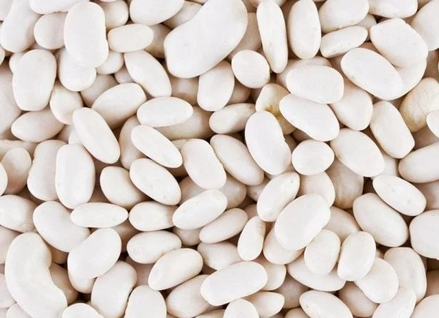 Ассортимент фасоли для оптовых закупок- фото № 1