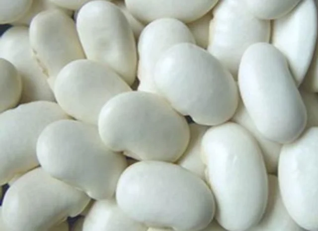 Квасоля в асортименті. Постачання гуртом- фото № 1