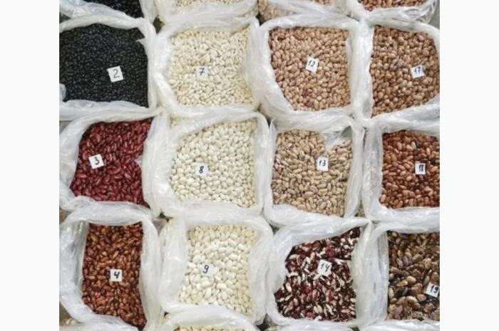 Продам квасолю є всі види- фото № 1