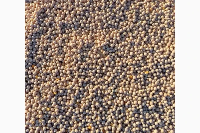 Яровой горох Esso – 10 тонн в продаже- фото № 1