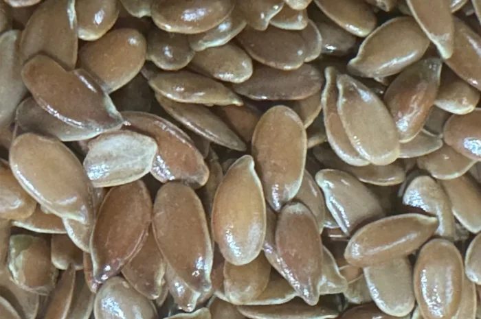 Насіння льону- фото № 1