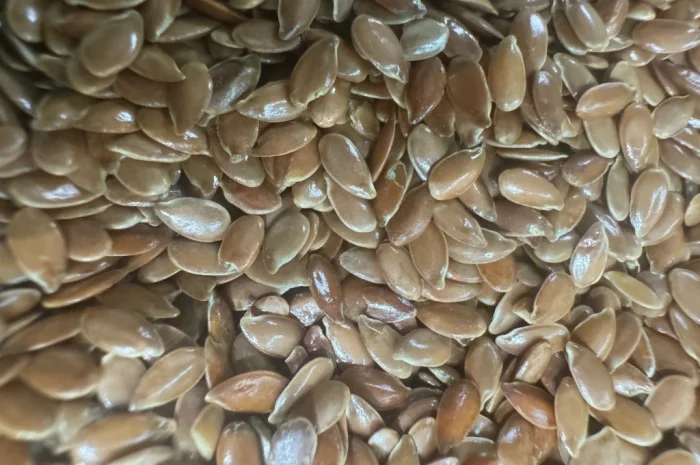 Насіння льону- фото № 2