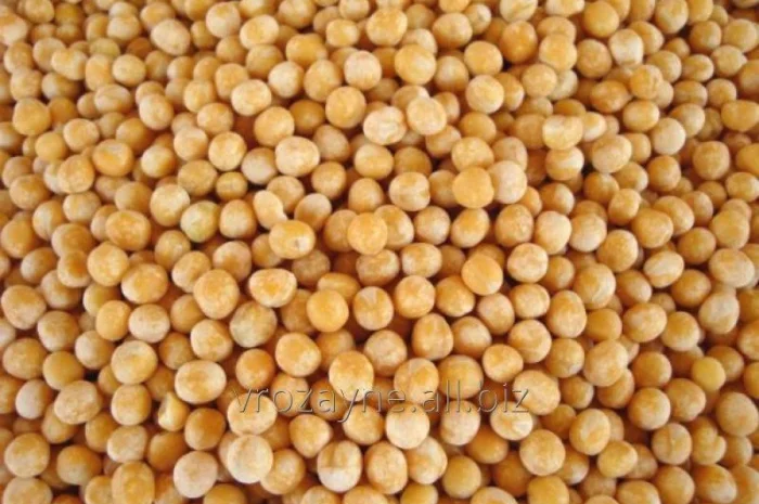 Закупівля жовтого гороху будь-якого об'єму- фото № 1