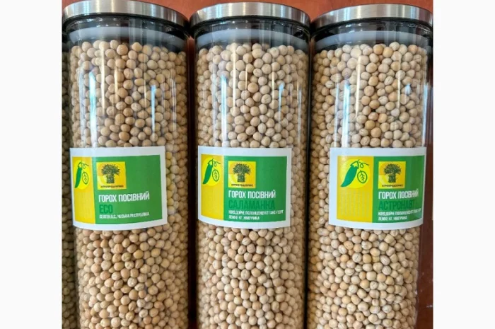 Насіння жовтого гороху "ЕСО" на продаж- фото № 1