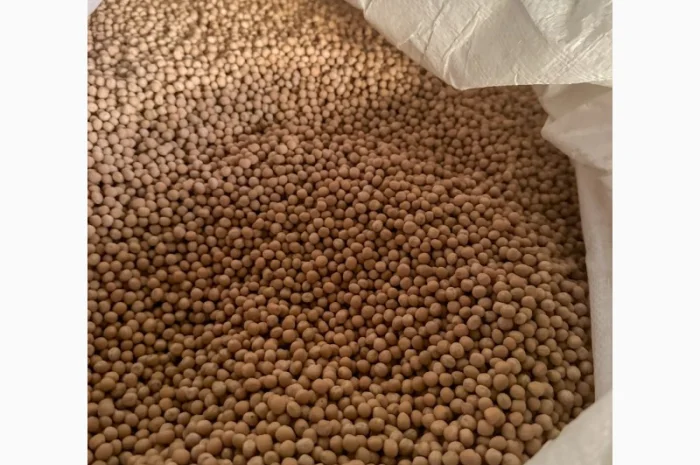 Насіння жовтого гороху "ЕСО" на продаж- фото № 3