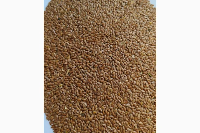 Продам льон коричневий олійний-130т- фото № 1