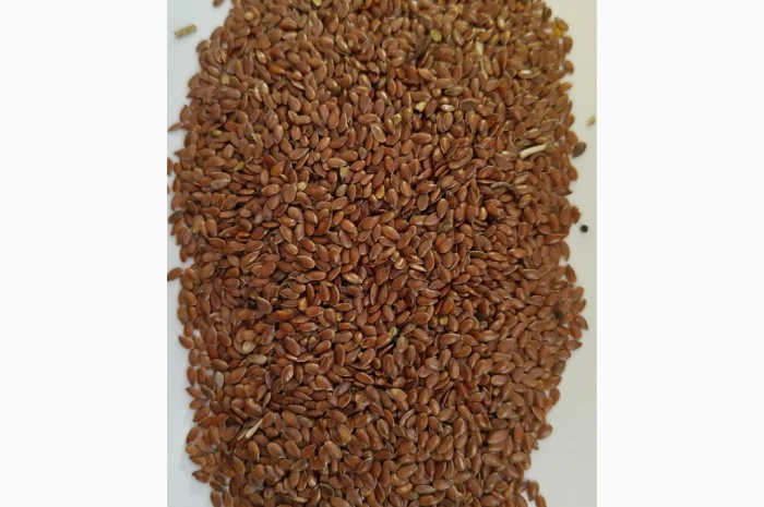Насіння льону олійного коричневого сорту- Лірина (Німеччина)- фото № 1