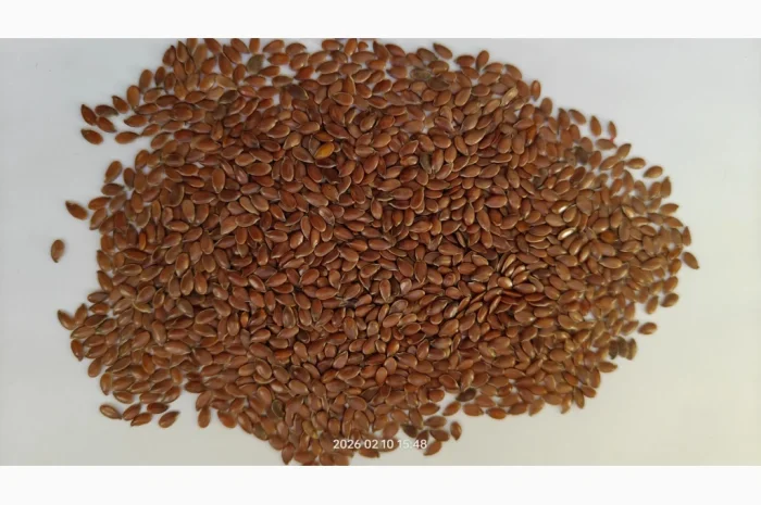 Насіння льону олійного коричневого сорту- Лірина (Німеччина)- фото № 2