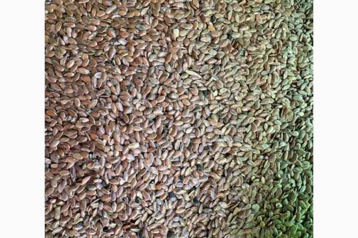 Продам насіння льон олійний 80т- фото № 3