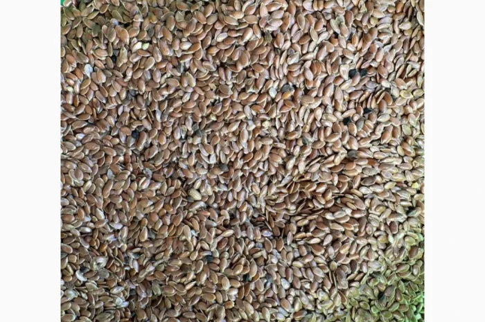 Продам насіння льон олійний 80т- фото № 4