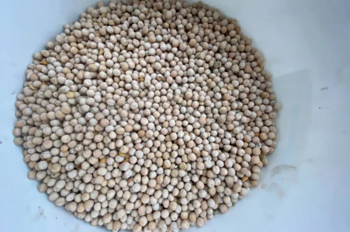 Продается жёлтый горох оптом- фото № 1