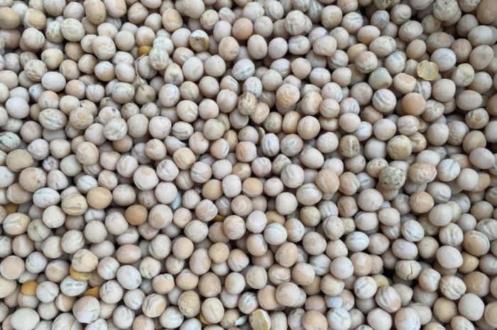 Продается жёлтый горох оптом- фото № 3