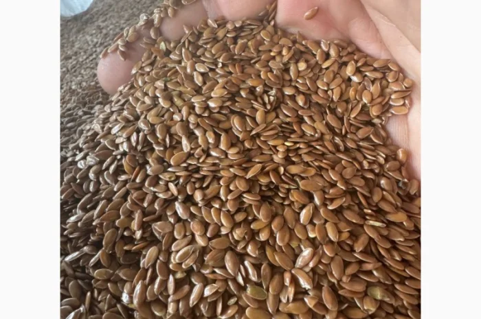 Продам лен коричневый на экспорт- фото № 2