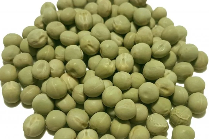 Горох зеленый сорт Импульс- фото № 1