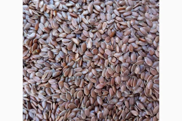 Продам семена льна- фото № 1