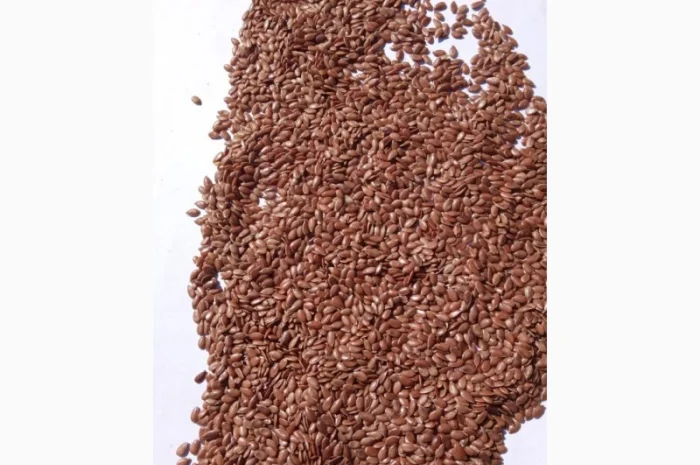 Продам семена льна- фото № 3