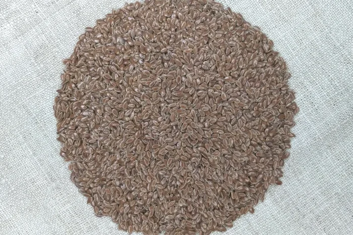 Насіння льону олійного Північна Зірка на продаж- фото № 1