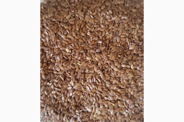Льон (Flaxseed) на экспорт- фото № 1