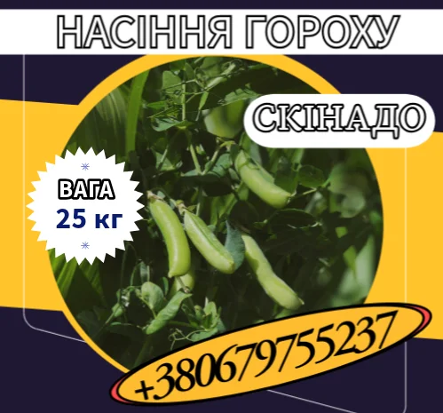Насіння цукрового гороху Скінадо (25 кг) у продажу- фото № 1