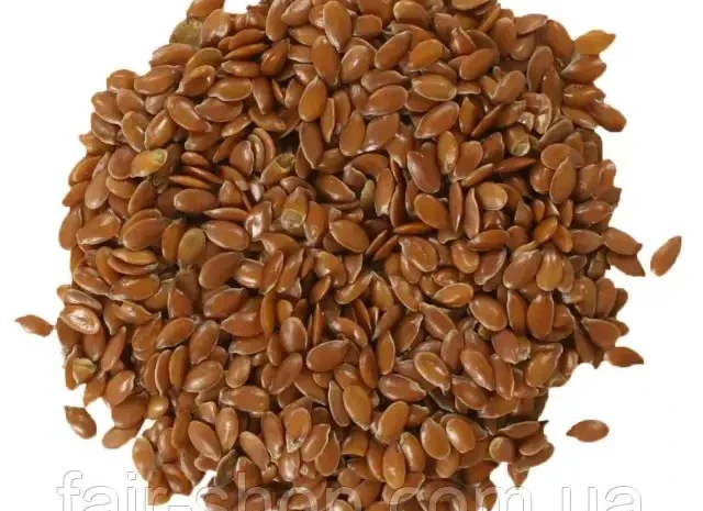 Насіння льону (водограй) - чисте- фото № 1