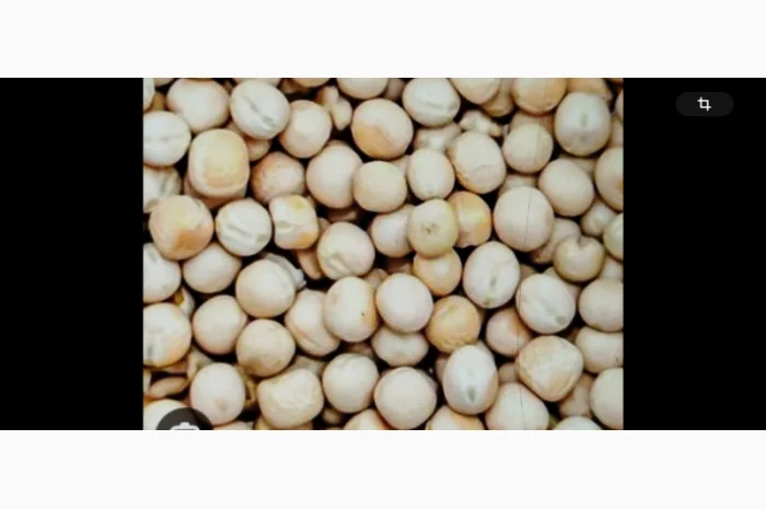 Продается горох ярий, 6,5 тонн- фото № 1