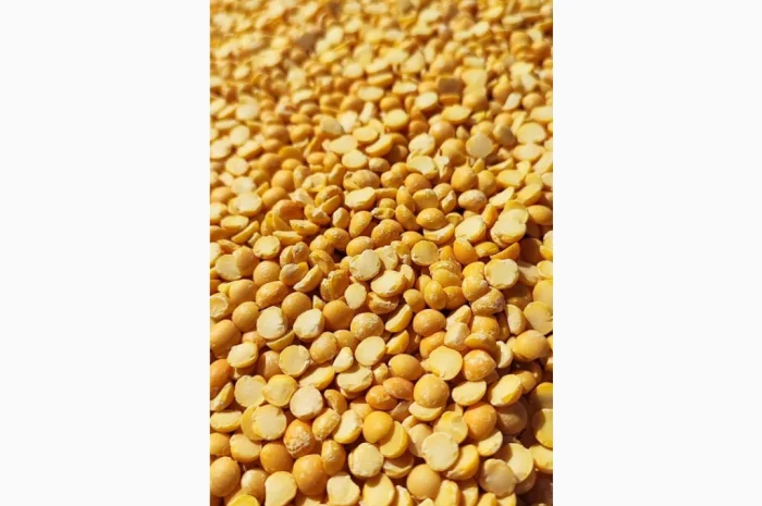 Пропонується жовтий колотий горох найвищої якості- фото № 1