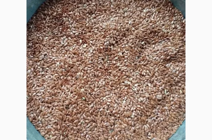Продаємо льон коричневий- фото № 1