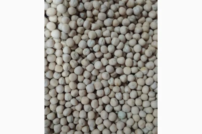 Продаж насіння жовтого гороху- фото № 2
