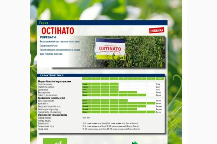 Продаж насіння жовтого гороху- фото № 3