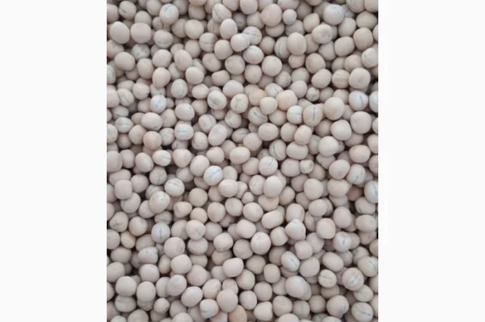 Продаж насіння жовтого гороху- фото № 4