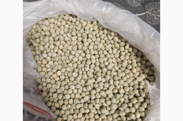 Продаж насіння жовтого гороху- фото № 6